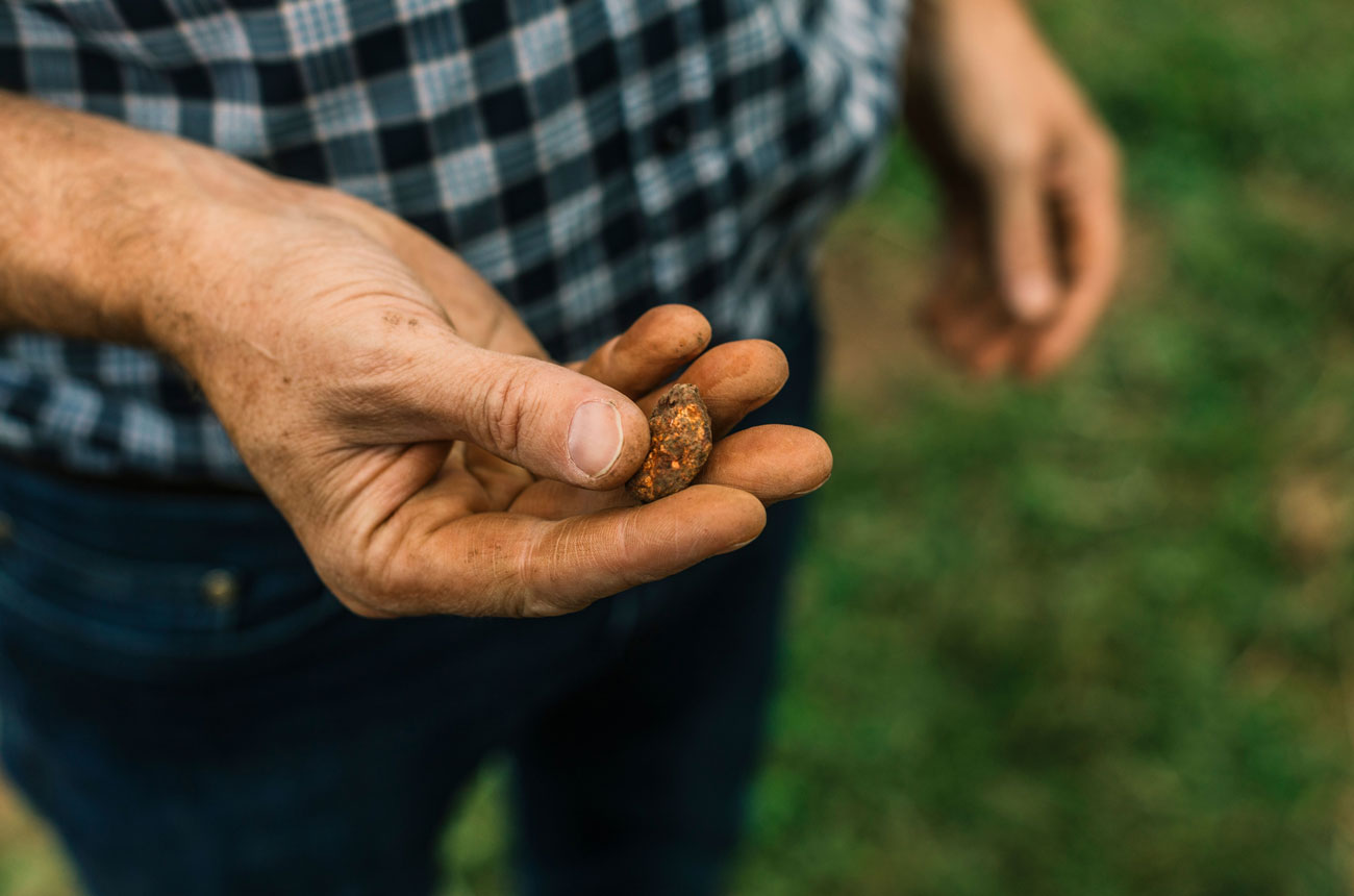 Martin Spedding, owner of Ten Minutes by Tractor, Mornington Peninsula