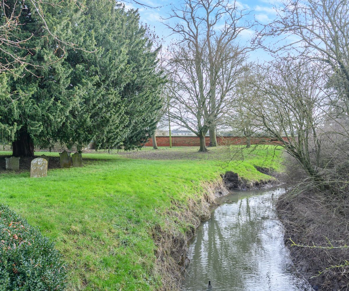A lawn with a river