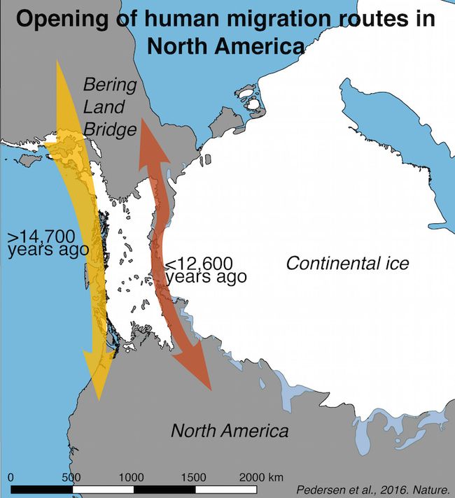 first-americans-took-coastal-route-to-get-to-north-america-live-science