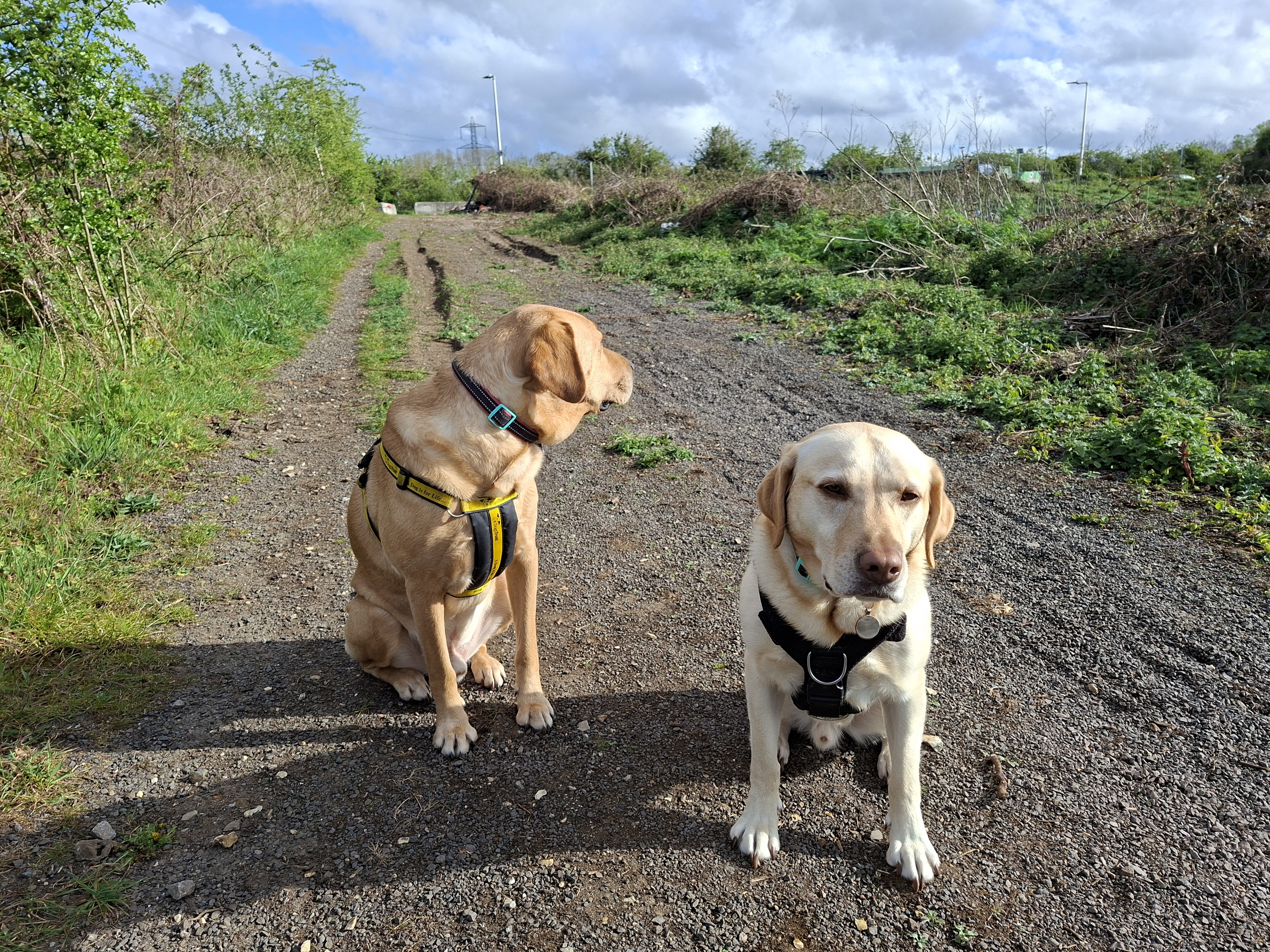 nothing phone 4a pro bs samsung galaxy a57 review shots