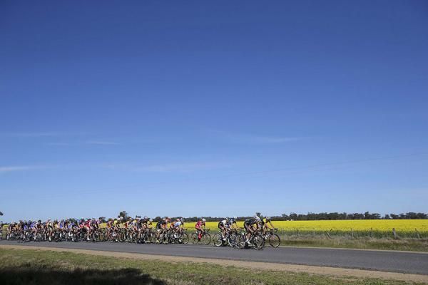 The peloton during Stage 4 of the Tour of the Murray River