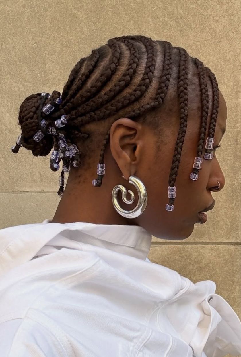 Summer 2026 Protective Braid Styles