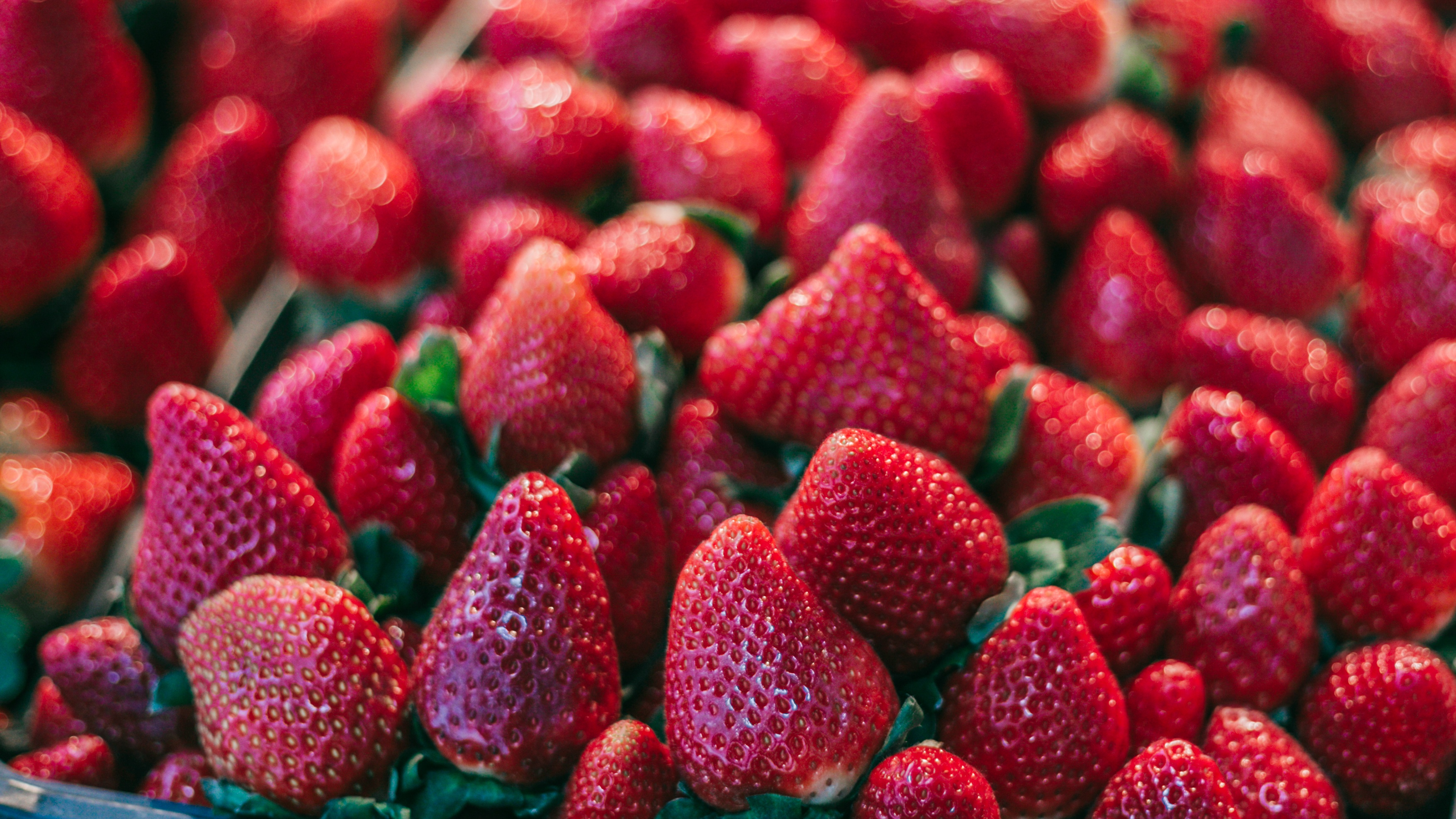  How strawberries are funding crime in Sweden 