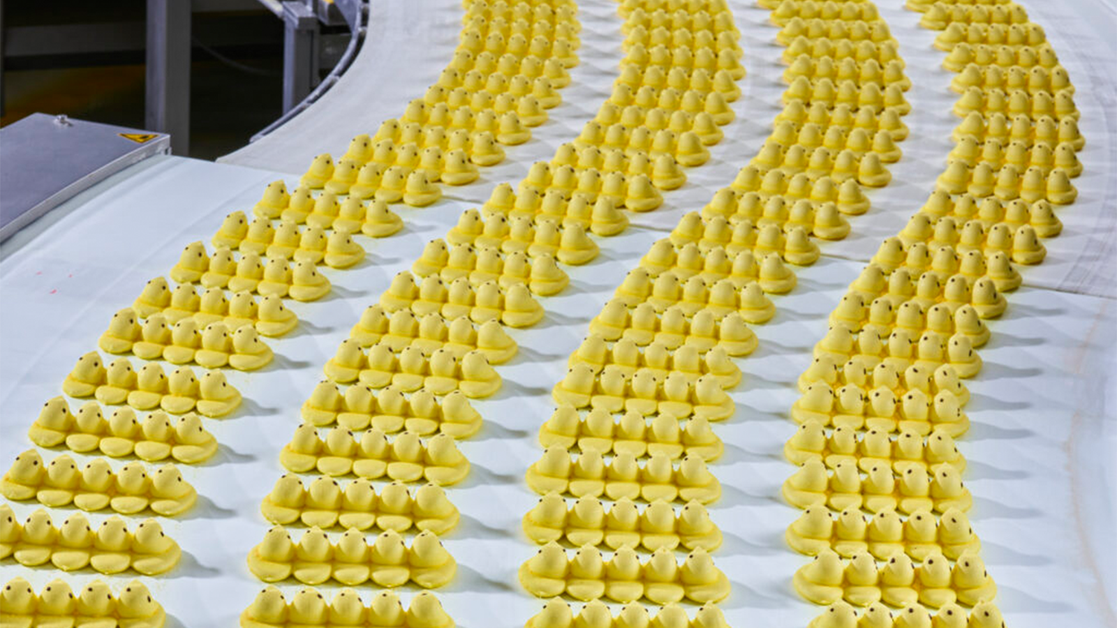Peeps Marshmallow Chicks cooling on a conveyor belt before packaging, 2023. Photographed by Christopher Payne (American, born 1968). Just Born Quality Confections (Bethlehem, Pennsylvania). Courtesy of the artist