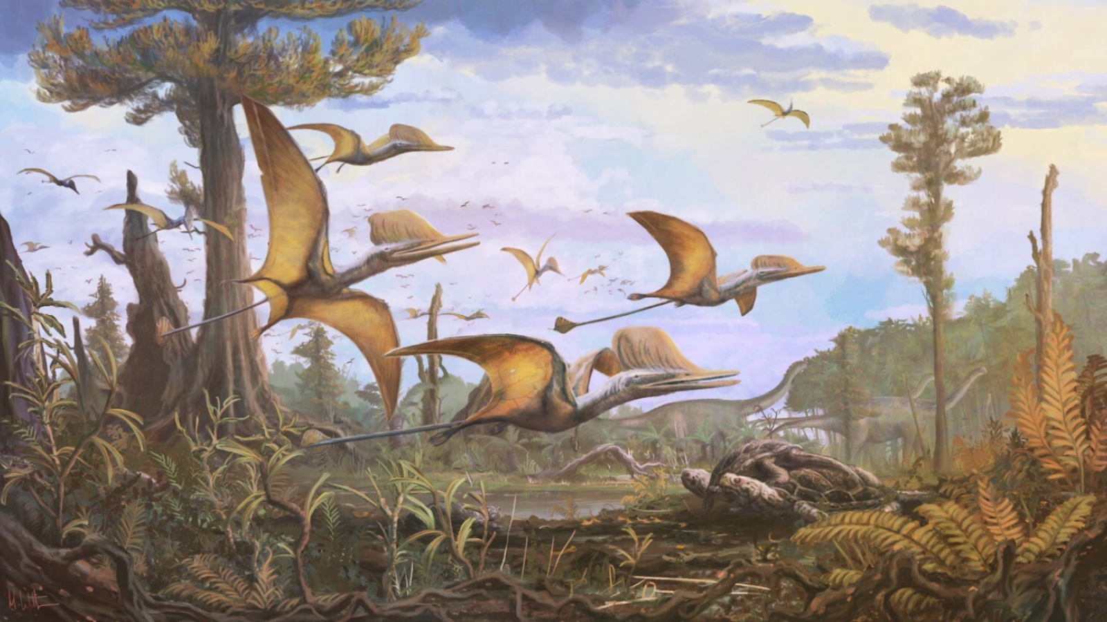 Jurassic 'mist wing' fossil discovered on Scottish island could be missing link in pterosaur evolution