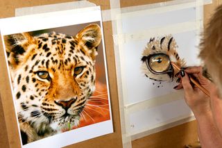 sketch of leopard eye next to image of a leopard