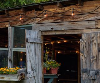 String lights on a shed