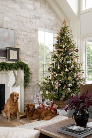 Traditional Christmas tree in classic living room