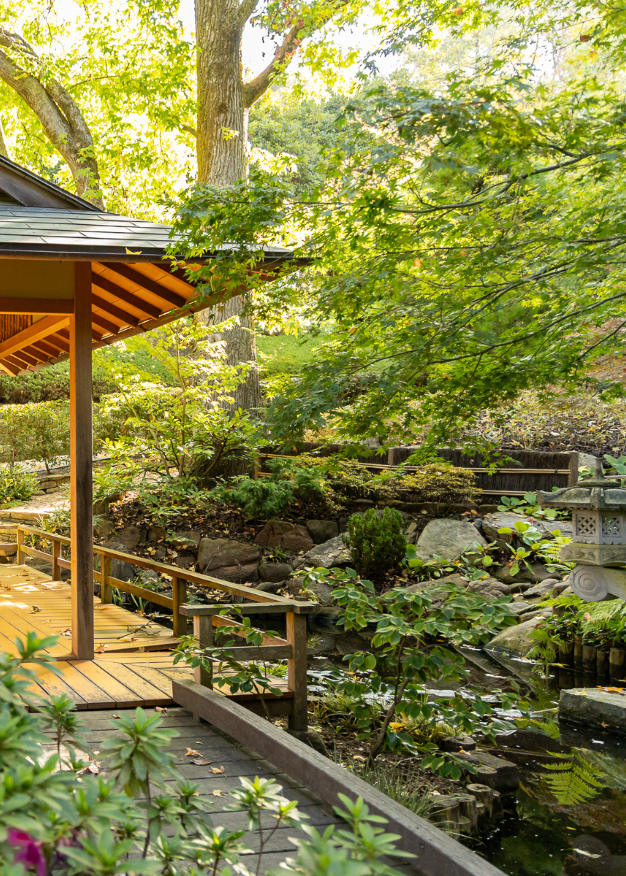 A Japanese garden with a pond surrounded by rocks