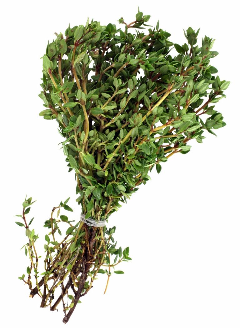 Harvesting Thyme And How To Dry Thyme Gardening Know How