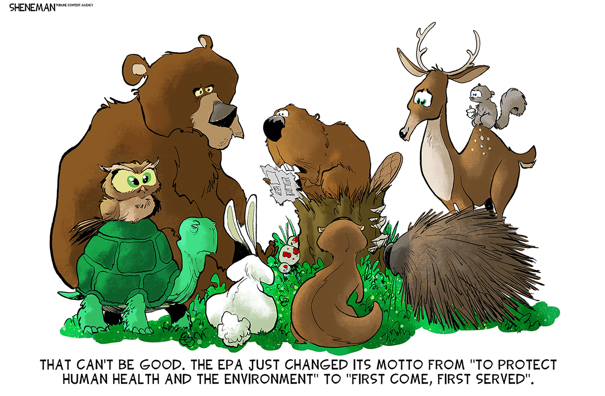 In this cartoon, a group of animals is gathered around a beaver reading a piece of paper. The animals are a bear, a turtle, an owl, a rabbit, a fox, a deer, and a squirrel. The beaver reads, “That can’t be good. The EPA just changed its motto from ‘To protect human health and the environment’ to ‘first come, first served.’”