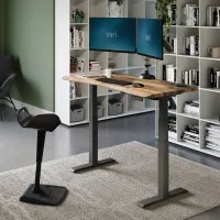 Vari Ergo Electric Standing Desk 54x26