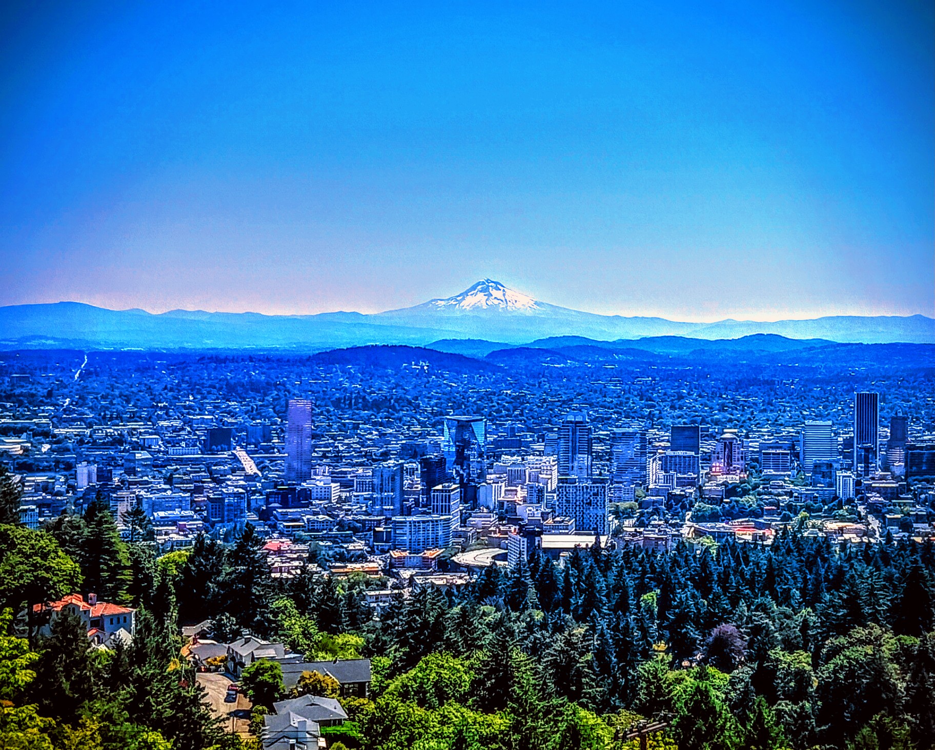 GuruShots - March 2026