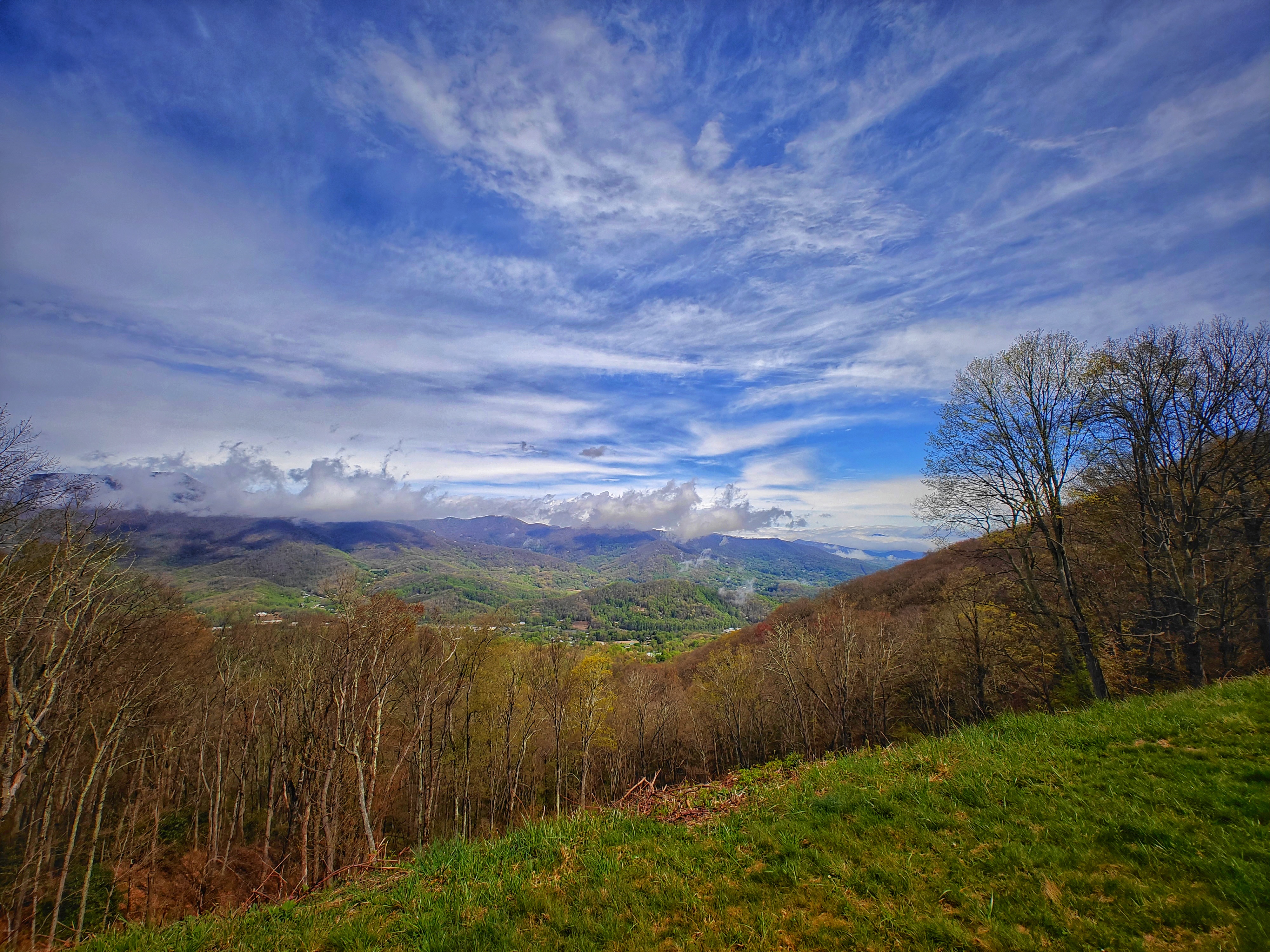 A wooded area against a blue sky backdrop in Waynesville, North Carolina