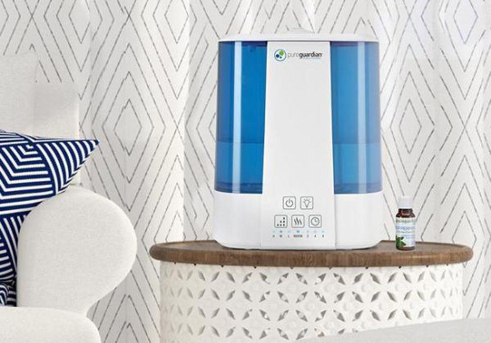 PureGuardian H4610 Review - Pros, Cons and Verdict | Top Ten Reviews