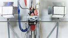 The MIPS crash dummy head with helmet upside down in lab testing machinery 