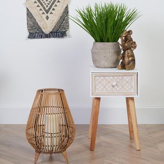 white room with wooden flooring and plant pot