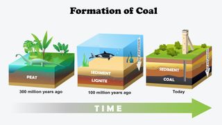 A diagram showing how coal forms over hundreds of millions of years