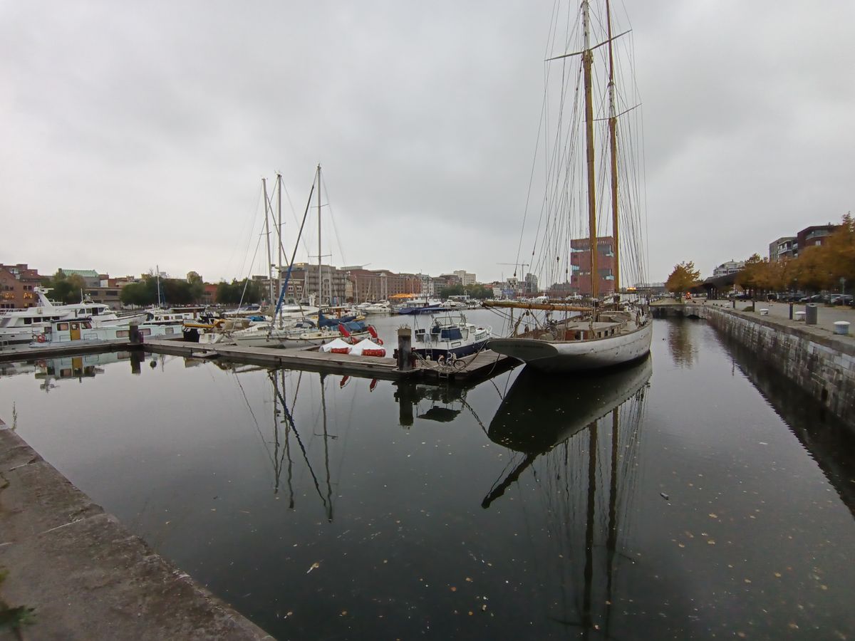 voorbeeldfoto motorola moto g56