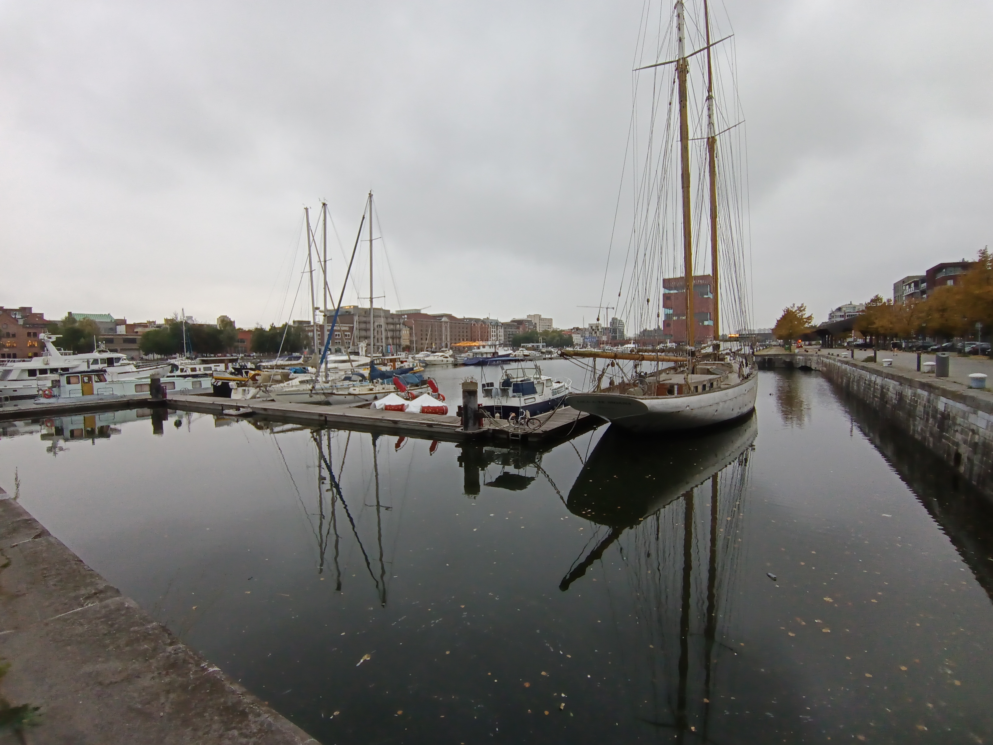 voorbeeldfoto motorola moto g56