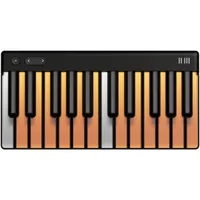 ROLI LUMI Keys Studio Edition24 DS5.5 sized keys | USB | 0.68kg