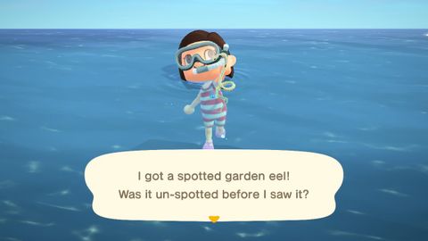 Animal Crossing: New Horizons sea creatures guide: How, when and where