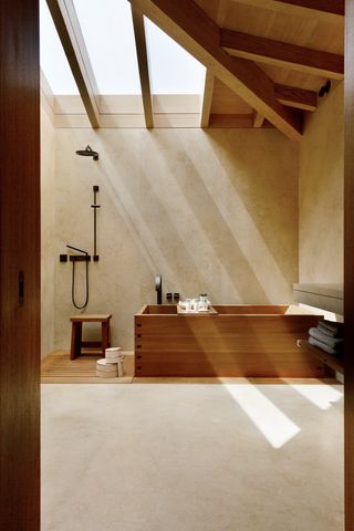 A bathroom with a skylight