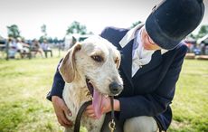 PFoH-2016-638.jpg