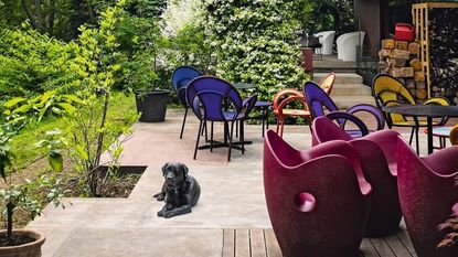 A garden with bright toned furniture