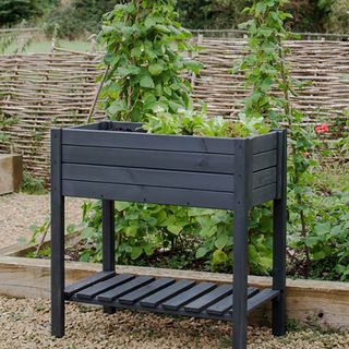 Black standing raised beds in garden with plants in them.