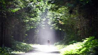 Gravel rider in the Ochoco National Forest