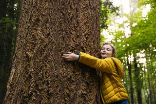 Young girl hugging a big tree trunk
