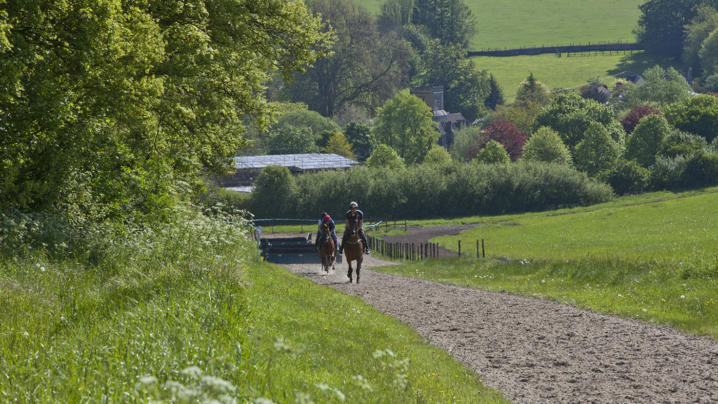 Pindrup Moor Farm - gallops