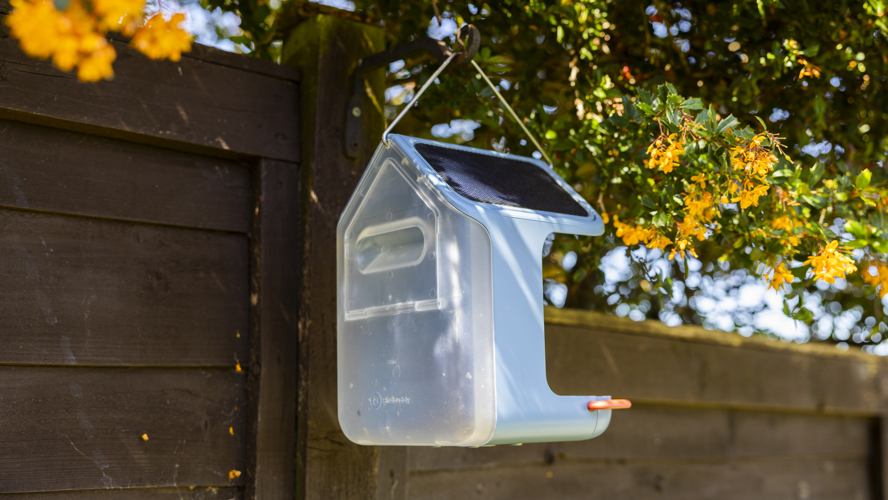 The back of the Bird Buddy 2 hanging in a sunny position