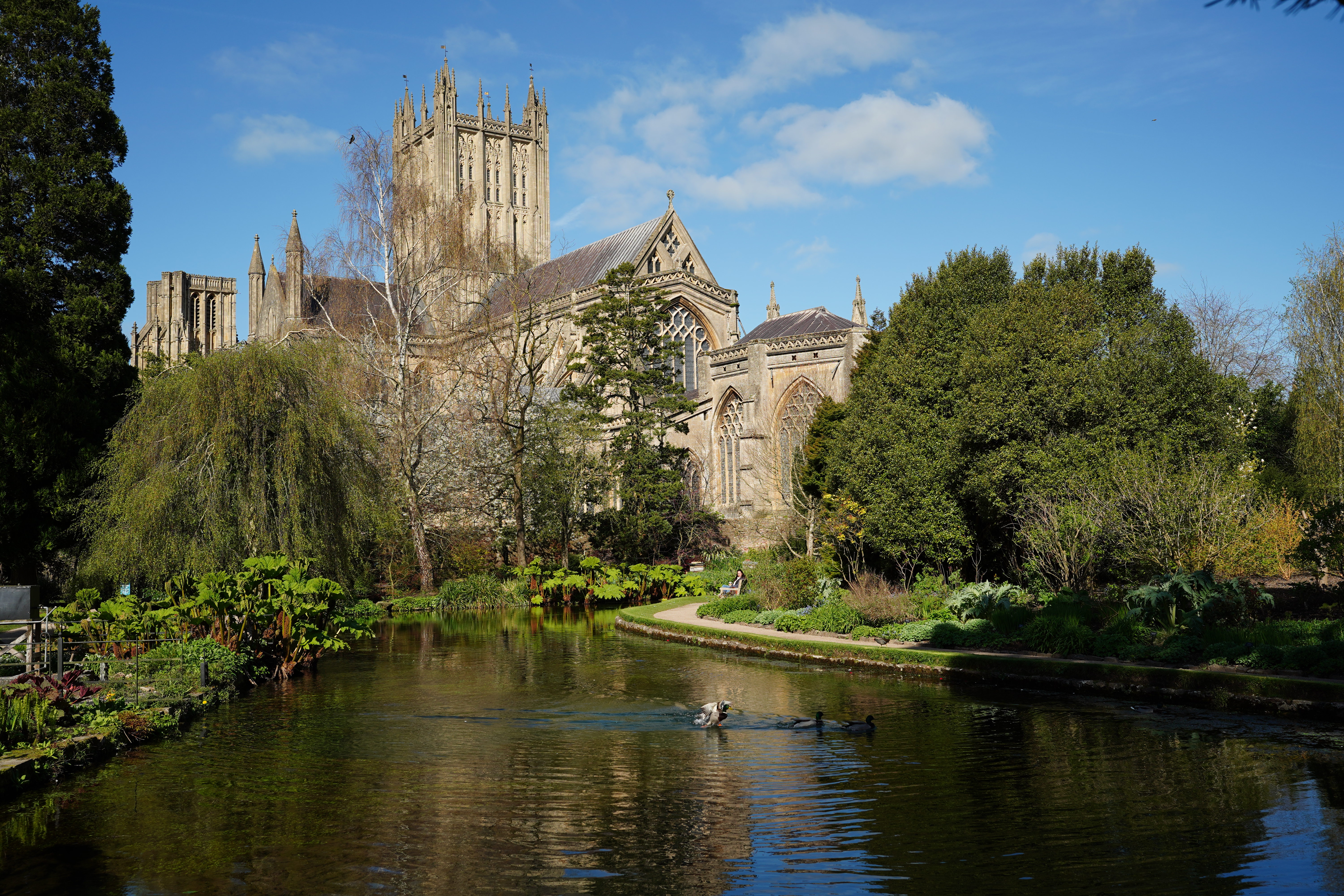 Sigma 35mm f/1.2 DG II Art sample image