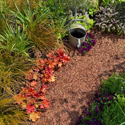 heuchera and grasses used to line a path