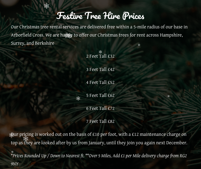 How to rent a Christmas tree where to hire them and why it's good for