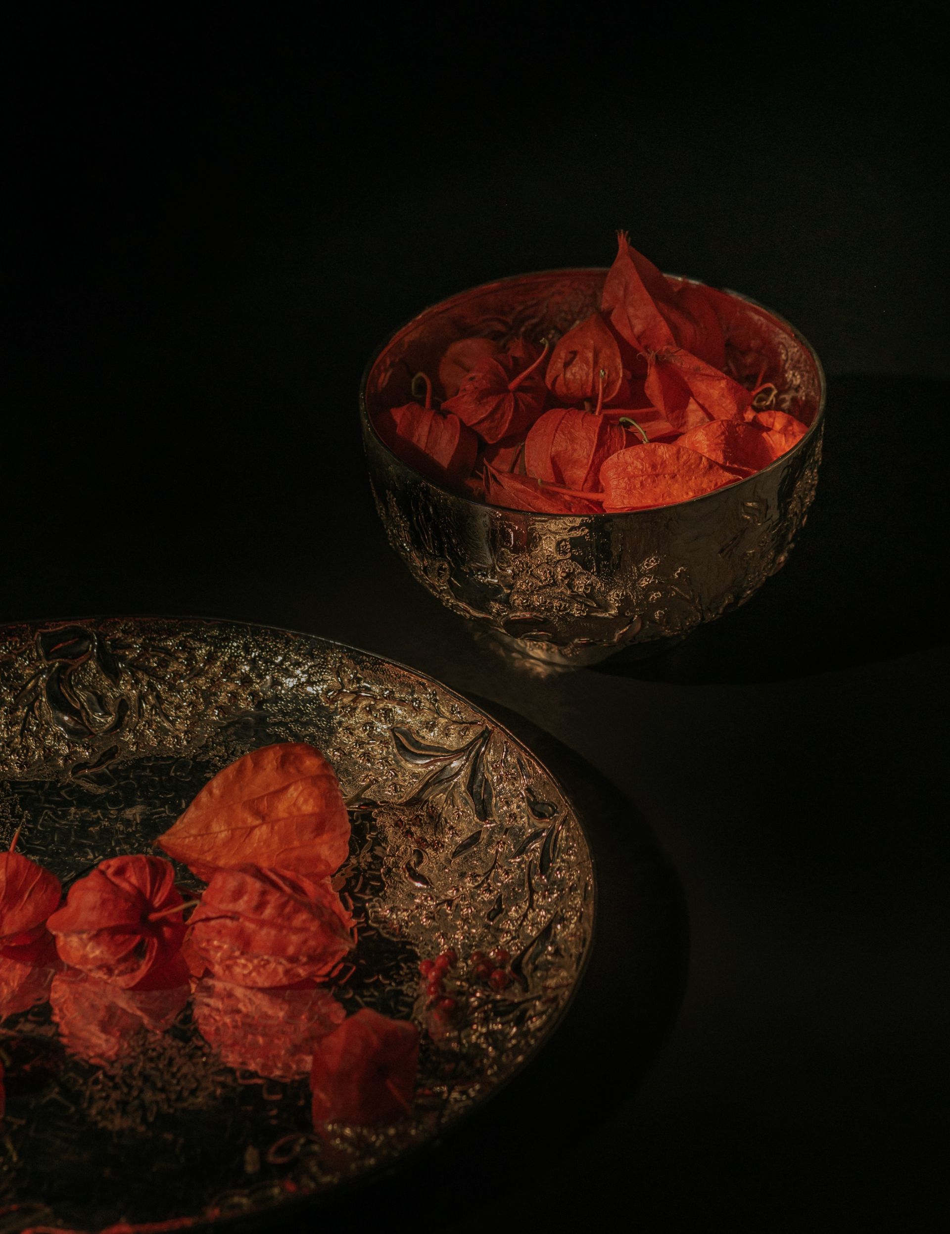 Vikram Goyal designs