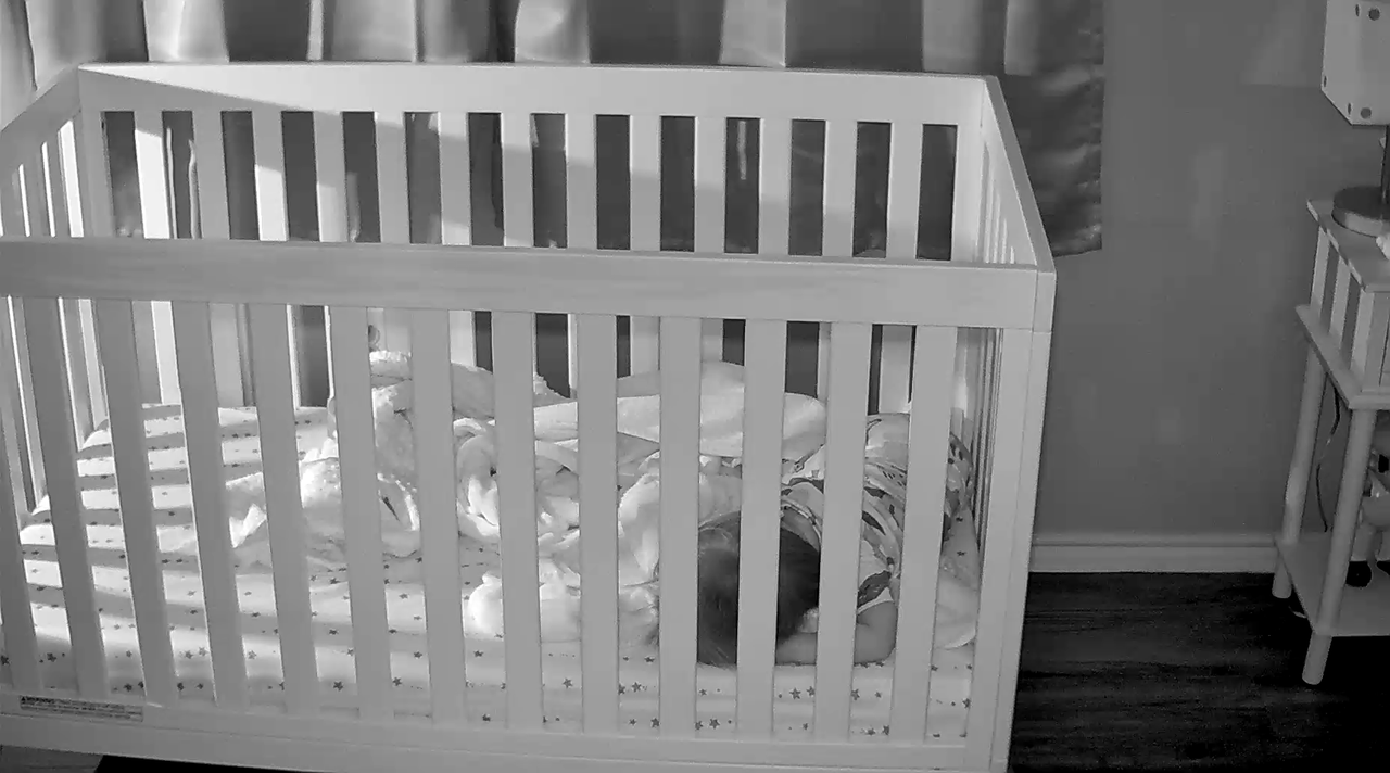 Hubble Nursery Pal Dual Vision bottom camera