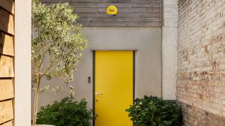 A yellow front door with green plants either side and an olive tree with a yellow Yale alarm box above it