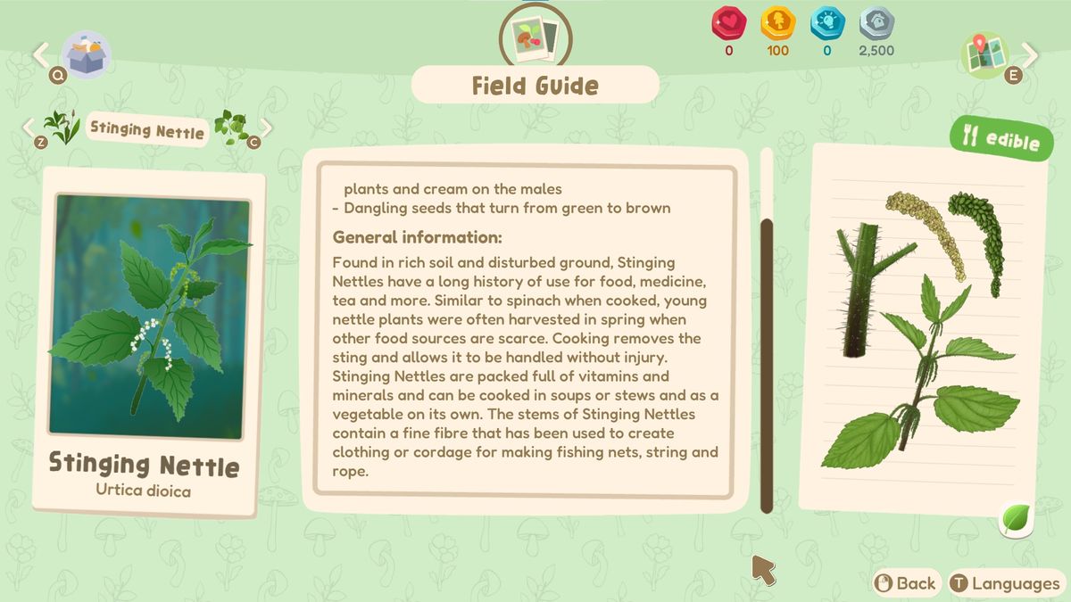 Out and About screenshot of the field guide entry of the Stinging Nettle plant, which details how it contains lots of vitamins and its sting can be removed by boiling it