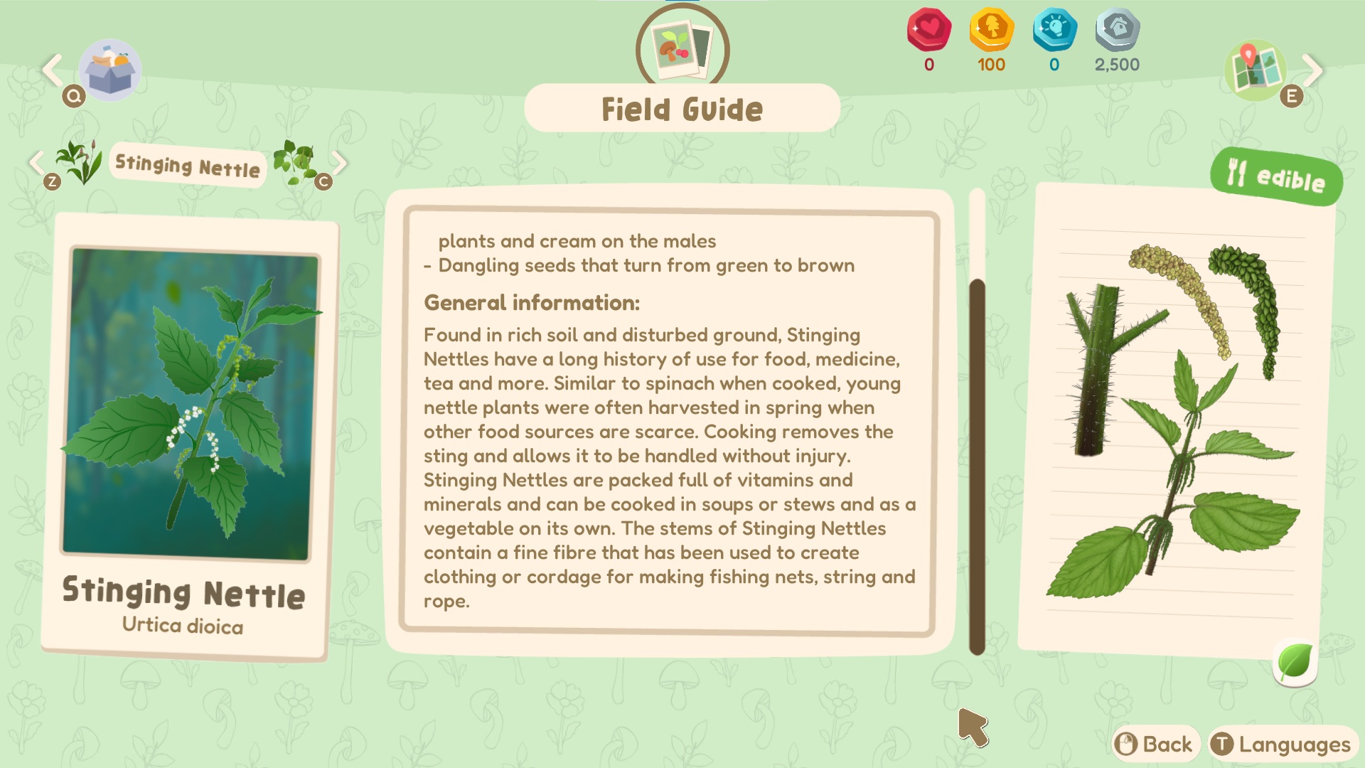 Out and About screenshot of the field guide entry of the Stinging Nettle plant, which details how it contains lots of vitamins and its sting can be removed by boiling it