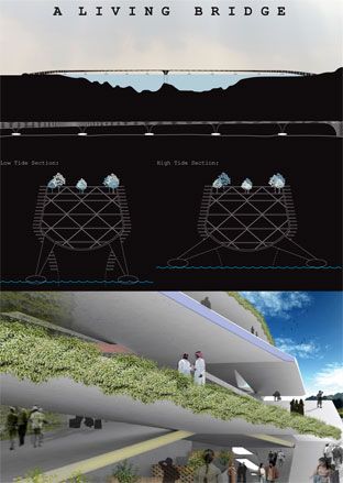 ’A Living Bridge’ by Desitecture. A drawing of a bridge floating on the ocean above a picture of people on walkways with plants on them.