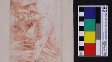 This is Leonardo Da Vinci's "Uomo della Bitta," one of six drawings by the master recently revealed to host complex microbiomes.