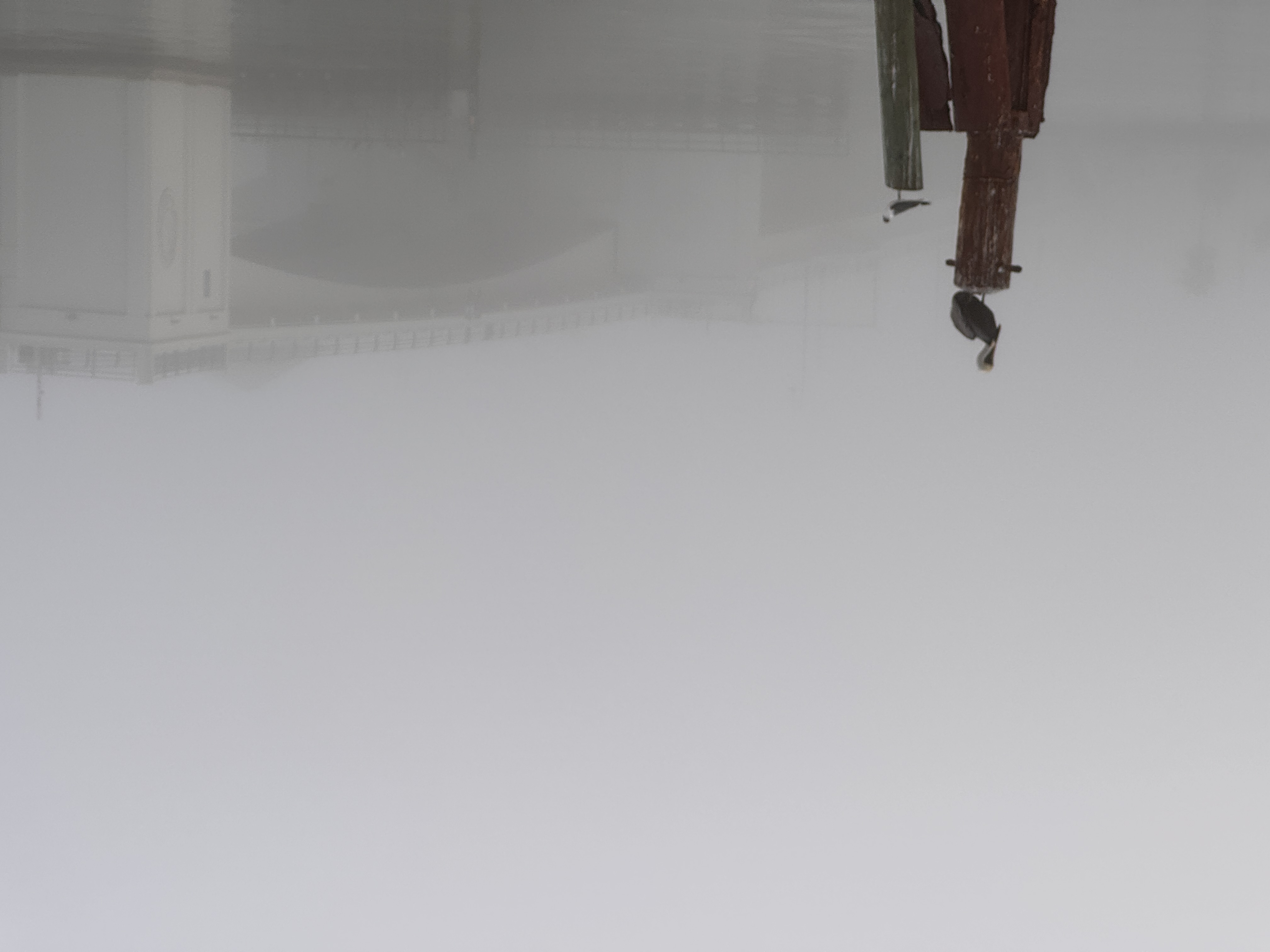 Images AI edited with VSCO AI Labs