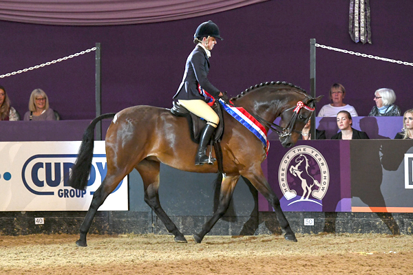 CARMENS NOVELLO for owner Charlotte Read, winner of the Rockleigh School Supreme Pony of the Year Championship at the Horse of The Year Show 2018 at the NEC near Birmingham in the UK between 2nd- 7th October 2018