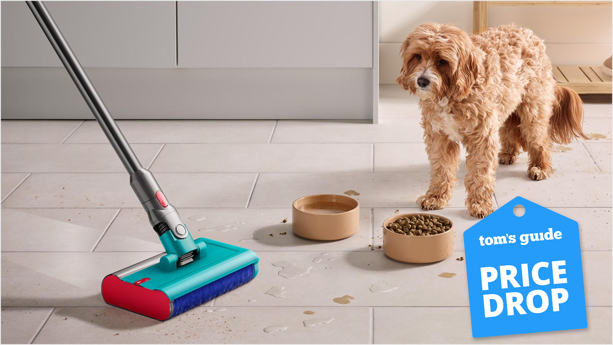 Dyson V15s Detect Submarine lifestyle image with brown and white dog and dog bowls and blue Tom&#039;s Guide Price Drop badge