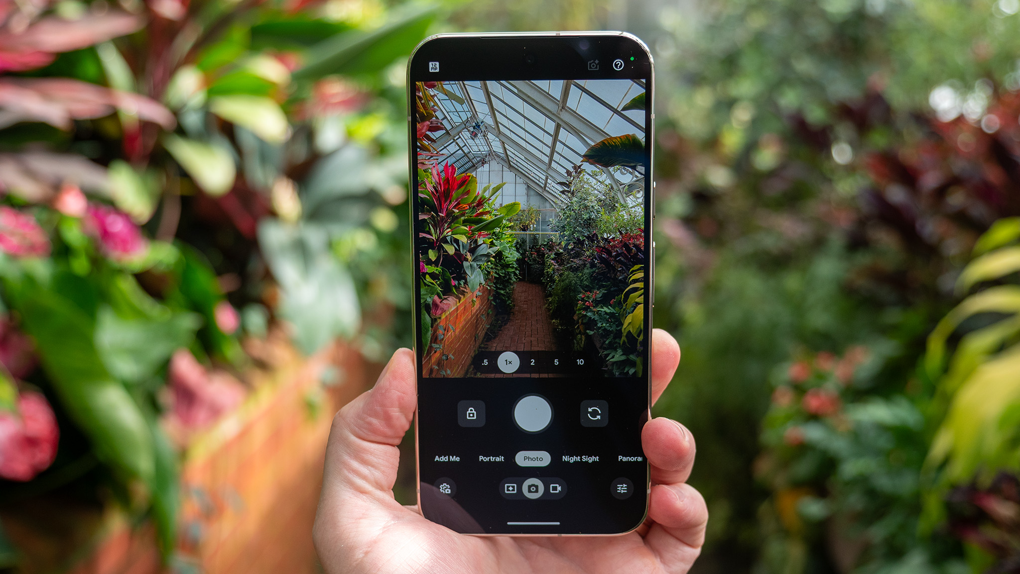 Looking through the camera viewfinder of the Google Pixel 11 Pro XL