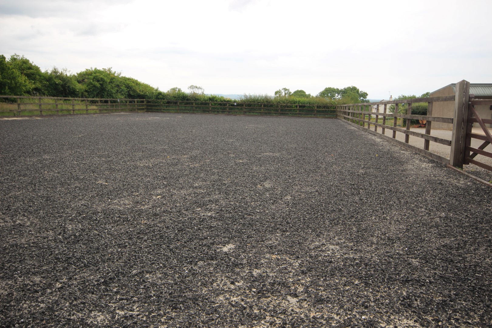 Tallentire-Outdoor-Arena.jpg