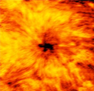 The ALMA radio telescope captured this image of a large sunspot Dec. 18, 2015, taken at a wavelength of 1.25 millimeters, which reveals the blazing-hot chromosphere located just above the photosphere (the sun's visible surface). The darker areas are cooler, including the sunspot that is nearly 2 times Earth's diameter.